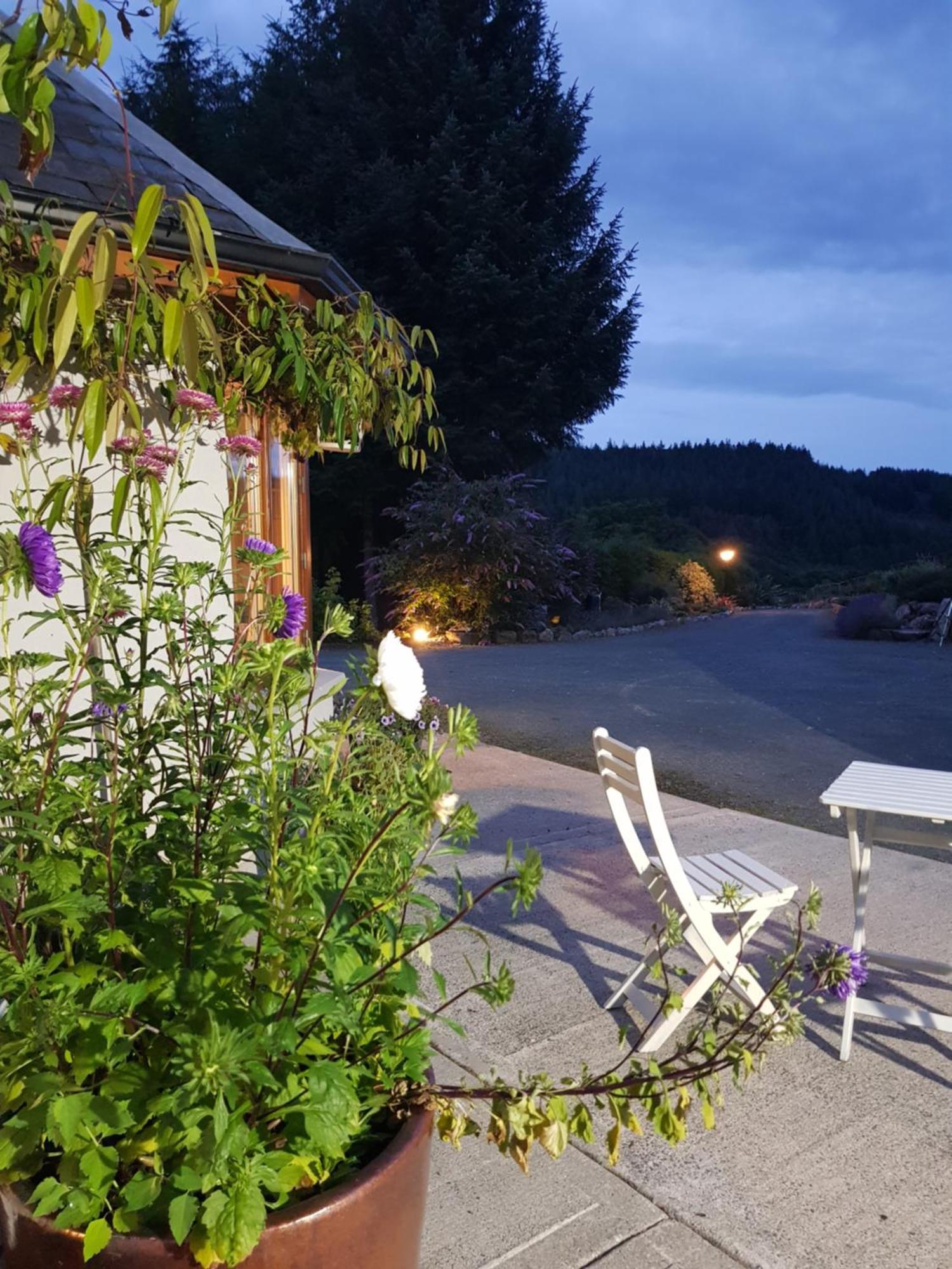 Forest View Woodland Lodge Ballard Esterno foto